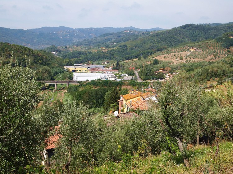 View from the house's driveway