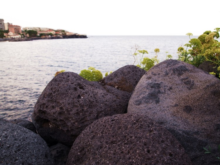 Definitely a unique seacoast. The cliffs and shores were made out of volcanic basalt. 