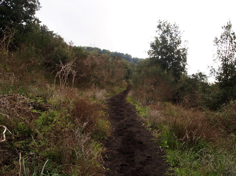 Following the volcanic soil path! 