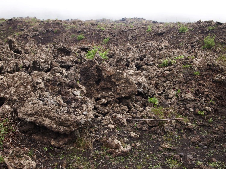 Remnants of the 1792 eruption. You can see traces of the first signs of life reclaiming the rocks. 