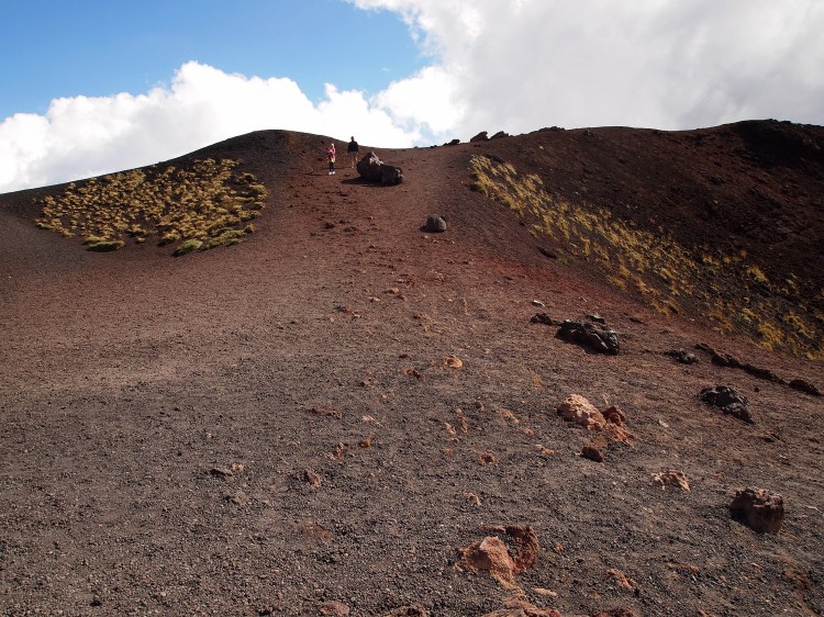 The craters were formed during the 1892 eruption - which explains their sparse plant growth. 