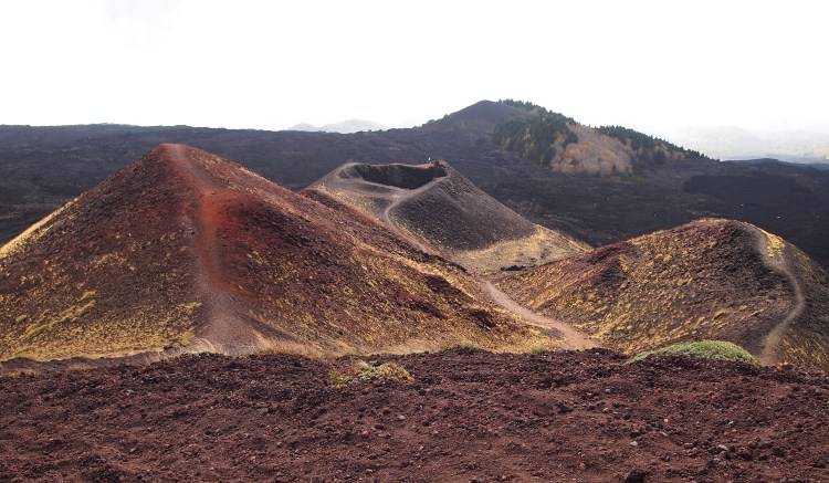 I couldn't believe that something like this was real. 