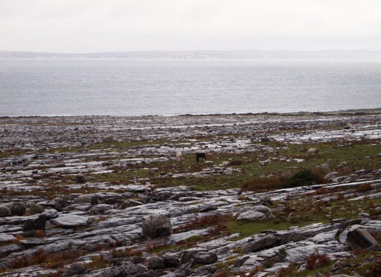 The Burren