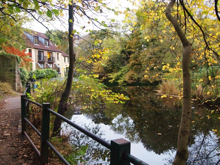The River Leith and fall leaves - the perfect combination. 