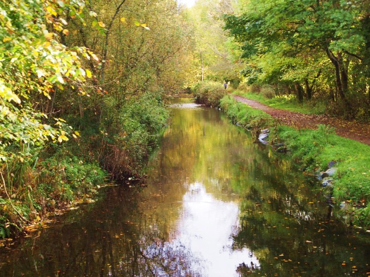 Killarney National Park