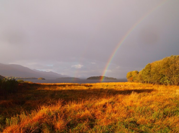 Killarney National Park