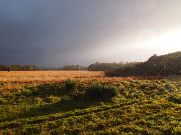 Killarney National Park
