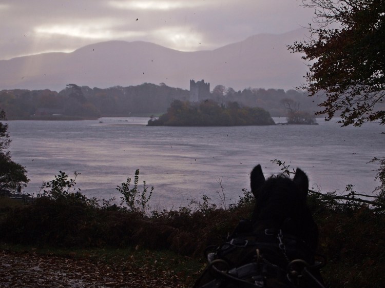 Killarney National Park