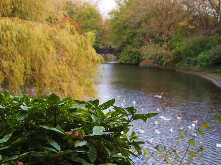 St. Stephen's Green